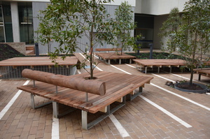 https://archive.abp.unimelb.edu.au/objects/images/Construction/Images/External Works/Timber seating north side/DSC_9852.JPG
