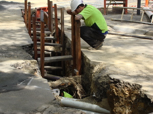 https://archive.abp.unimelb.edu.au/objects/images/Pre-construction/Enabling works/DSC07639.JPG
