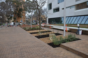 https://archive.abp.unimelb.edu.au/objects/images/Construction/Images/External Works/Planting/DSC_9839.JPG