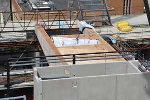 https://archive.abp.unimelb.edu.au/objects/images/Construction/Images/LVL roof beams & coffers/Installation/DSC_4926.JPG