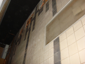 https://archive.abp.unimelb.edu.au/objects/images/Old ABP building and pre-existing conditions/Japanese room tile mural-PAshford/DSC07744.JPG