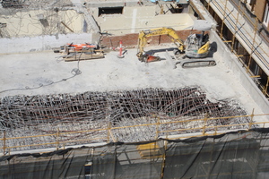 https://archive.abp.unimelb.edu.au/objects/images/Pre-construction/Demolition/ABP/DSC08287.JPG