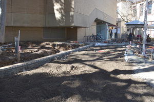 https://archive.abp.unimelb.edu.au/objects/images/Construction/Images/External Works/Brick paving & brick walls/DSC_9713.JPG