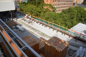 https://archive.abp.unimelb.edu.au/objects/images/Construction/Images/Roof/Rooftop Japanese garden/DSC_6083.JPG