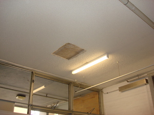https://archive.abp.unimelb.edu.au/objects/images/Pre-construction/Asbestos removal/ABP/DSC07500.JPG