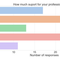 Support for professional growth