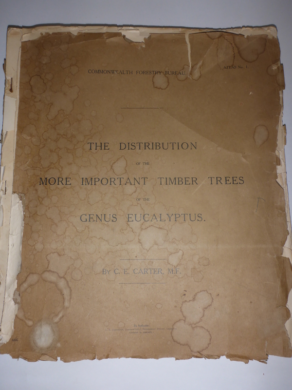 1289_The Distribution of ...Genus Eucalyptus_1 (2).JPG
