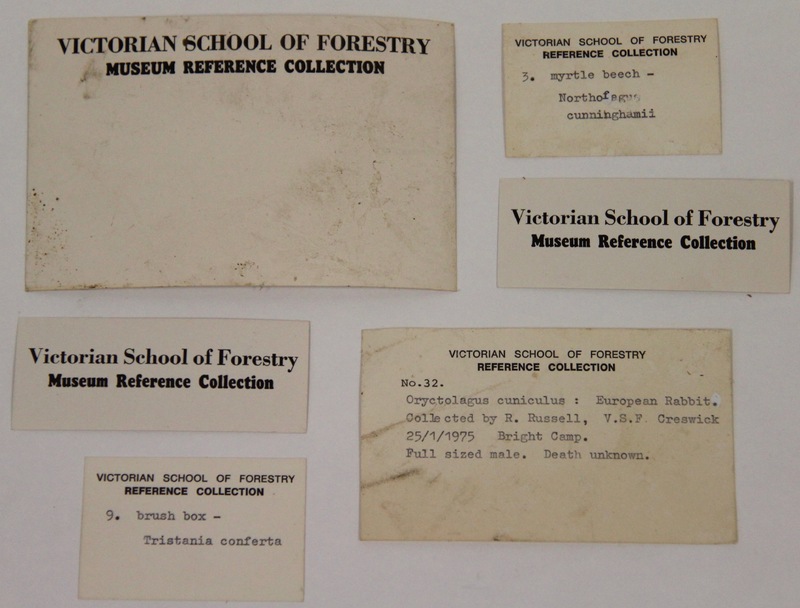 Victorian School of Forestry Museum reference collection cards