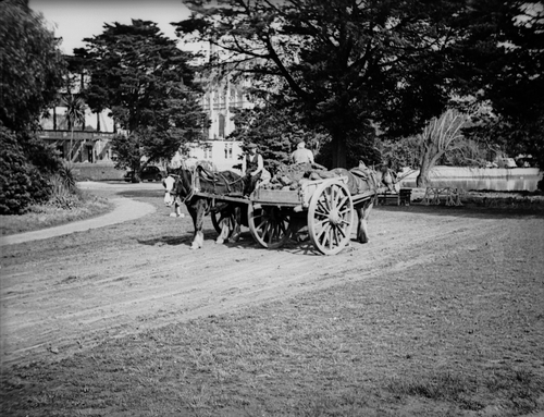 Filling the lake using horse drays.