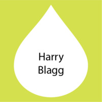 Harry Blagg.png