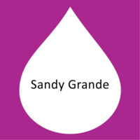 Sandy Grande.png