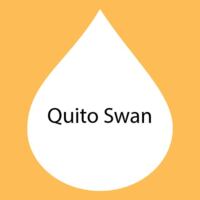 Quito Swan.jpg