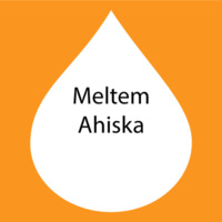 http://115.146.92.215/MeltemAhiska.jpg