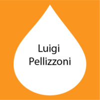 Luigi Pellizzoni.png
