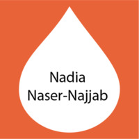 Nadia Naser-Najjab.png