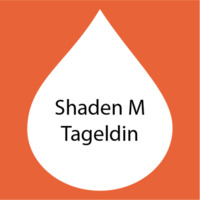 Shaden M Tageldin.png