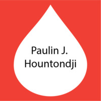 Paulin J. Hountondji.png