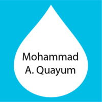 Mohammad A. Quayum.png