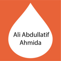  Ali Abdullatif Ahmida.png