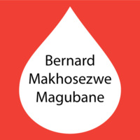 http://115.146.92.215/BernardMakhosezweMagubane.jpg