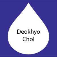 Deokhyo Choi.png