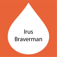 Irus Braverman.png