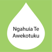 Ngahuia Te Awekotuku.png