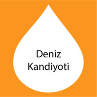 Deniz Kandiyoti.png