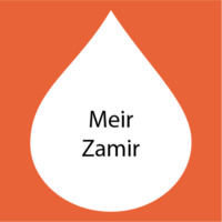 Meir Zamir.png