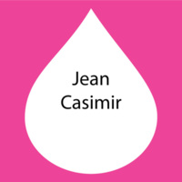 http://115.146.92.215/JeanCasimir.jpg