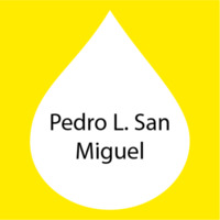 Pedro L San Miguel.png