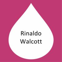 Rinaldo Walcott.jpg