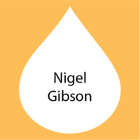 Nigel Gibson.png