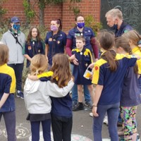 Community Caterpillar