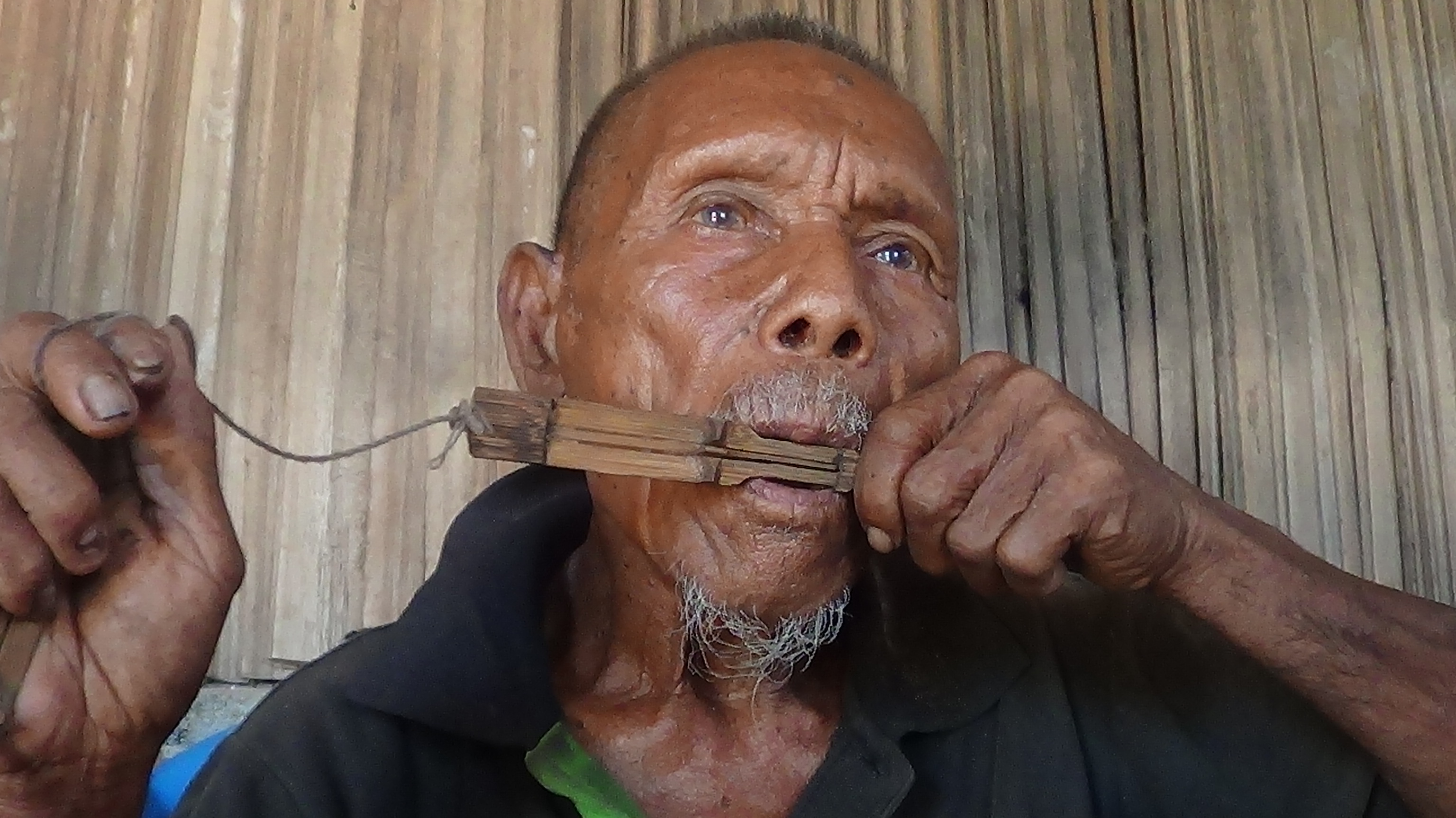 Pepur Uta (kekeit; jaw harp) - Aldeia Pajahara · Kultura Fataluku Lautem -  Many Hands International