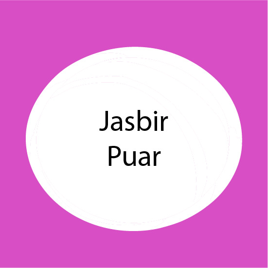 Jasbir Puar .png