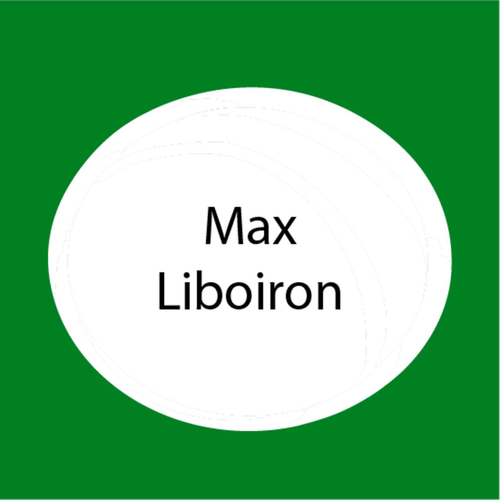 Max Liboiron