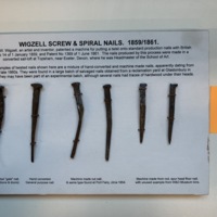 Wigzel Screw and Spiral Nails