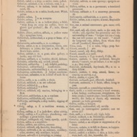 Page 91 Irish English Dictionary.jpg