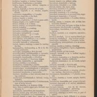 Page 313 maybe Irish English Dictionary.jpg